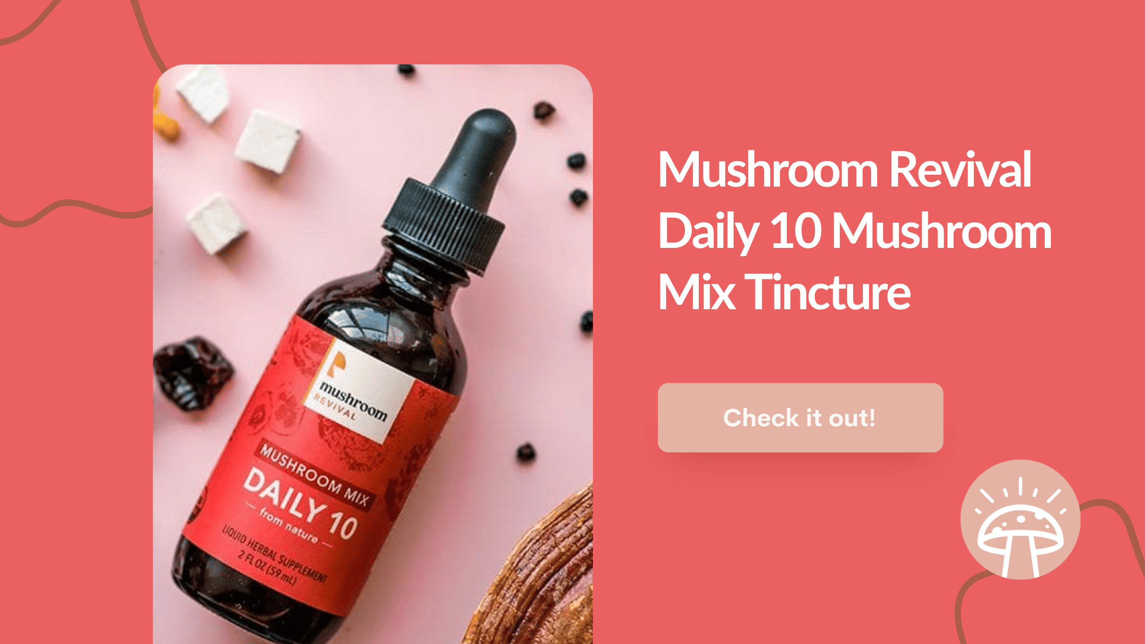 How to Make Chaga Tincture StepbyStep Guide